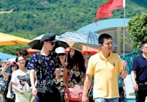 禁止参团岂能掩盖“不合理低价游”之实?