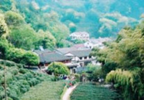 龙井茂居 时间和自然是最美的设计师