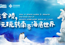 金陵连锁联合推出“住金陵，一元玩转南京海底世界”活动