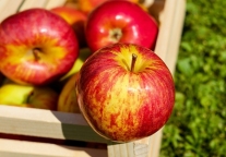 一周任命：力争上游 8位酒店高管履新