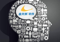 金天鹅欲构建酒店数据服务平台 助力单体酒店互联网腾飞