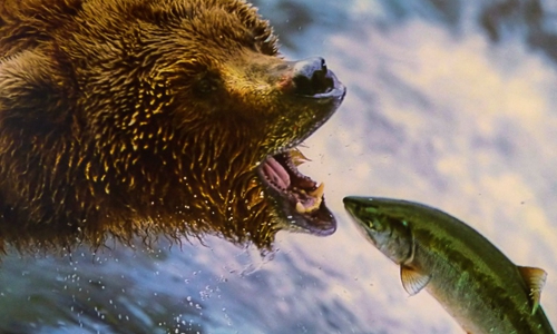 酒店在经营过程中面对鱼与熊掌该如何取舍?