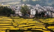 乡村旅游渐升温：用数据说“旅游扶贫”