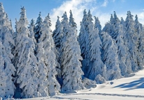 冰雪旅游推广联盟执行秘书长:雪乡究竟做错了什么