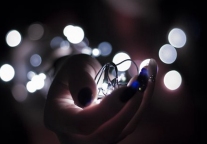 串联大众环保力量 多家酒店餐厅参与"地球一小时"行动