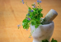 雅居乐与广东湛江遂溪县合作开发中医药小镇项目