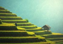 网红景区如何避免“昙花一现”的命运？