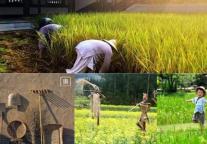 蝶来千宿·自在小庄项目签约 打造禅农文化禅意精品民宿群落