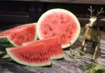 回归田园 尽享天伦——无锡巡塘书香府邸酒店农场果蔬新鲜上市