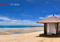 献给世界的厦门湾，泰禾湾系超级IP首发会盛启