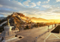 扎根西藏，服务西藏 上海“白玉兰”绽放雪域高原