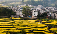 广东乡村旅游大数据分析报告