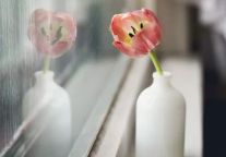 一年半两次易主 花间堂能否用资本撬动市场