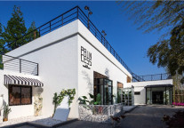 特立独行的大树下，用自己的方式诠释着存量市场的另一种可能