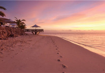 斐济旅游局：公布第四季度大中华区同业推广计划   以吸引更多游客