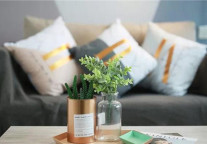 世联红璞 | 进化蜕变万物生长，前进路上不忘初心