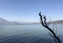洱海违建侵占湖滨带 餐饮客栈有1947户证照不齐