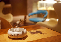 酒店新物种频出 但它先发制人 获得第一桶金