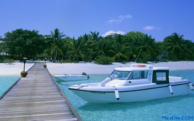 2010年是亚太旅游难忘的恢复之年