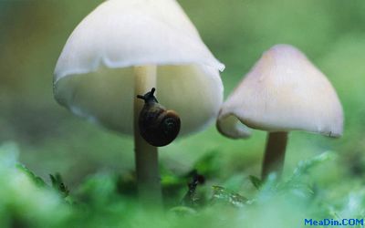 洲际酒店第一季度盈利增长28%