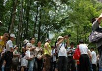 武陵源风景区火爆旅游预热端午节