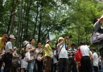 武陵源五月揽客逾180万人次 清凉避暑之旅受青睐