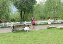 不一样的教师节：和孩子一起寻宝