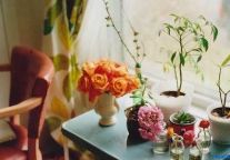 In Defence of OTAs - Why They Are Critical for Hotels, Especially Independent and Boutique Hotels