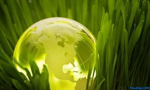 Global Sustainability Perspective Highlights Trends in Corporate Energy and Carbon Reporting