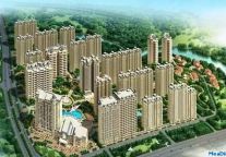 碧桂园11年11月销售25亿 环比降低43%