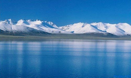 2011年第4季度旅行社行业景气分析