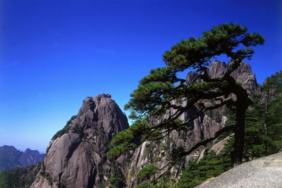 旅游目的地的后危机管理