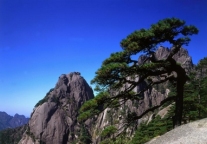 旅游目的地的后危机管理