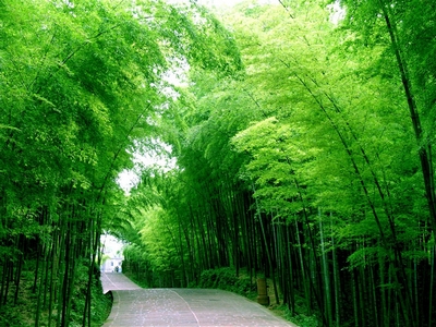 以禅文化开启休闲旅游的新境界(上)