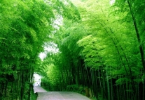 以禅文化开启休闲旅游的新境界（上）