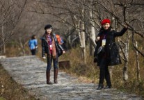 舞动荔波 梅香万家——写在“荔波第六届万亩梅花报春节”召开之际