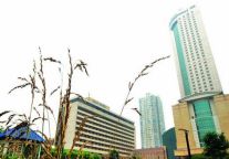 齐鲁宾馆近日将爆破 耗用176公斤炸药