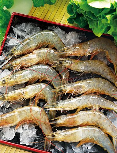 重庆洲际酒店鲜虾节