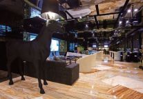 杭州大厦宾馆变身精品酒店 时尚依旧