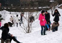 淡季门票价格再打6折 8省市游客游黄山仅需90元