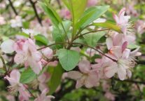 “三八节”旅游单位团撑起半边天