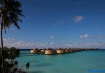 ELITE正式推出网上平台