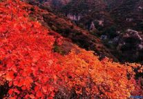 Colorful mountain in autumn