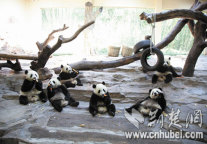 告别世博游亚运游大热(图)