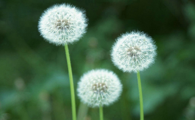 业内称经济型酒店正加速“7天”化