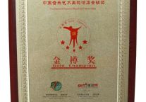 维也纳酒店喜摘“2011中国音乐艺术主题酒店金钻奖”