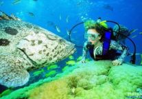 途牛旅游网澳洲之旅：两人同行一人免单