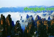 张家界至尚给力网络旅游