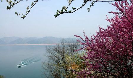 太平湖春色