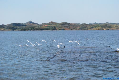 太极湖